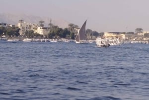 Z Kairu: 4-dniowy rejs po Nilu z Asuanu do Luksoru z posiłkami