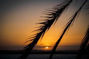 Au départ du Caire : Odyssée de 4 jours dans l'oasis de Siwa