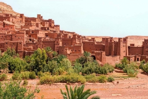 Au départ du Caire : Odyssée de 4 jours dans l'oasis de Siwa