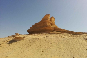 From Cairo: 4-Days Siwa Oasis Odyssey