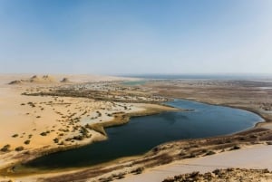 Från Kairo: Ökensafari, kamelritt, magisk sjö och lunch