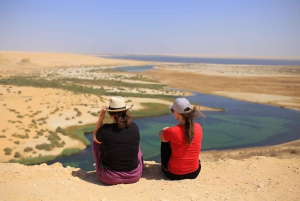From Cairo: 4x4 Desert Safari, Sandsurf, and Camel Ride