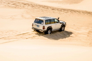 From Cairo: 4x4 Desert Safari, Sandsurf, and Camel Ride