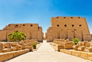 From Cairo: 5-Day Nile Cruise to Aswan & Balloon by Flights