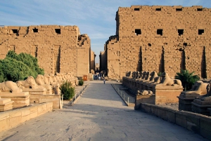 From Cairo: 5-Day Nile Cruise to Aswan & Balloon by Flights