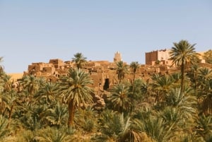 Desde El Cairo: Excursión privada de 5 días al Oasis de Siwa con alojamiento