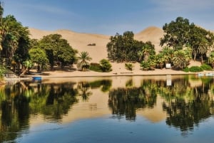 Dal Cairo: viaggio privato di 5 giorni all'oasi di Siwa con alloggio