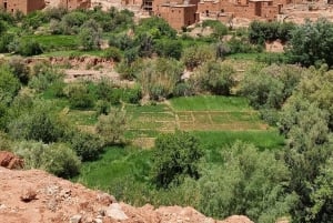 Dal Cairo: viaggio privato di 5 giorni all'oasi di Siwa con alloggio