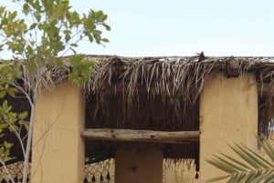 Dal Cairo: viaggio privato di 5 giorni all'oasi di Siwa con alloggio