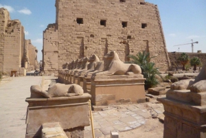 カイロ発：カイロ、ルクソール、アスワンのクルーズ付き 8 日間ツアー