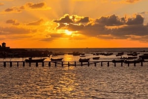 Do Cairo: Viagem guiada por mulheres a Alexandria a partir do Cairo