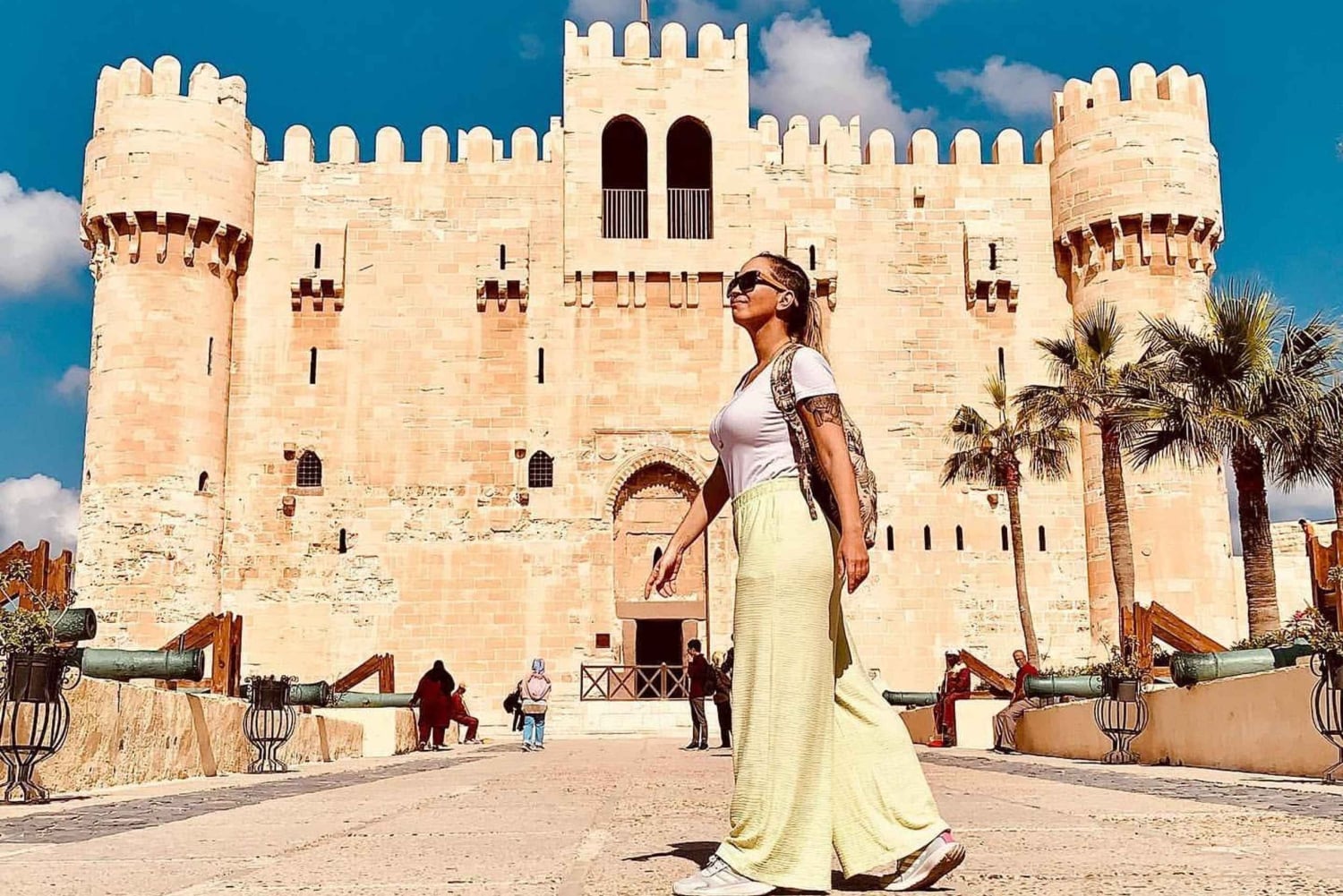 Dal Cairo: Escursione guidata di un giorno ad Alessandria d'Egitto in auto