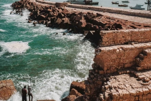 Dal Cairo: Escursione guidata di un giorno ad Alessandria d'Egitto in auto