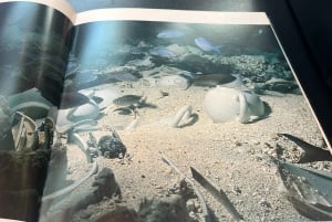 カイロからアレクサンドリア プライベート日帰り旅行 オールインクルーシブ