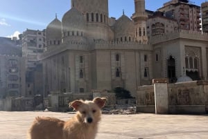 Au départ du Caire : Alexandrie Excursion privée d'une journée tout compris