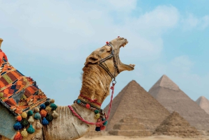 Desde El Cairo: Paseo en camello o a caballo por las pirámides de Guiza