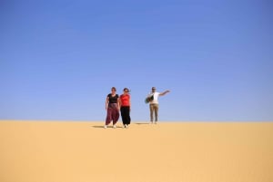 From Cairo: Desert Safari, Camel Ride, Magic Lake, & Lunch