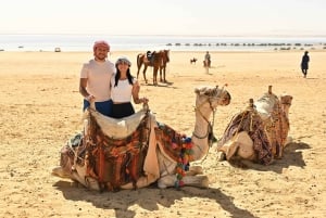 From Cairo: Desert Safari, Camel Ride, Magic Lake, & Lunch