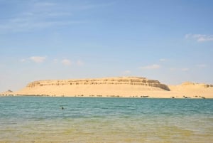 From Cairo: Desert Safari, Camel Ride, Magic Lake, & Lunch