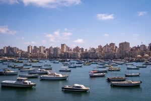 Vanuit Caïro: Dagtocht El Alamein en Alexandrië met gids
