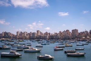 From Cairo: El Alamein and Alexandria Guided Day Tour