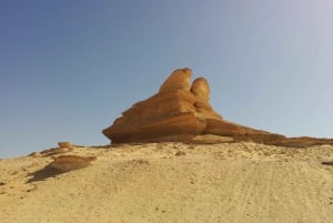 Au départ du Caire : 3 jours de safari à El-Alamin, dans l'oasis de Siwa et dans le désert