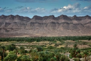 Kairosta: 3-päiväinen El-Alamin, Siwa-keidas ja aavikkosafari.