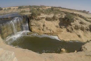 Dal Cairo: Tour guidato dell'oasi di Fayoum e del Wadi Al Rayan
