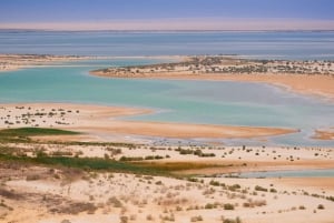 From Cairo: Fayoum Oasis and Wadi Al Rayan Guided Tour