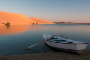 From Cairo: Fayoum Oasis and Wadi Al Rayan Guided Tour