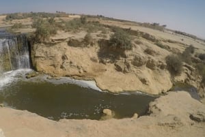 From Cairo: Fayoum Oasis and Wadi Al Rayan Guided Tour