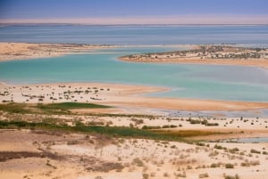 From Cairo: Fayoum Oasis and Wadi Al Rayan Guided Tour