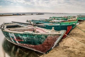 From Cairo: Fayoum Oasis and Wadi Al Rayan Guided Tour