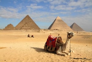 Fra Kairo: Pyramidene i Giza med kamel