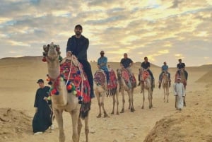 Fra Kairo: Pyramidene i Giza med kamel