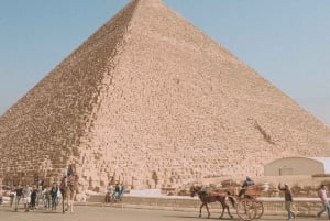 من القاهرة: جولة إرشادية لمدة 4 أيام في القاهرة والبحر الأحمر مع خدمة النقل