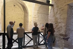 Z Kairu: Jednodniowa wycieczka z lunchem do historycznej Aleksandrii