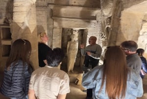 Z Kairu: Jednodniowa wycieczka z lunchem do historycznej Aleksandrii