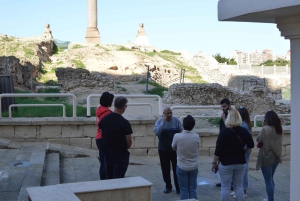 Z Kairu: Jednodniowa wycieczka z lunchem do historycznej Aleksandrii