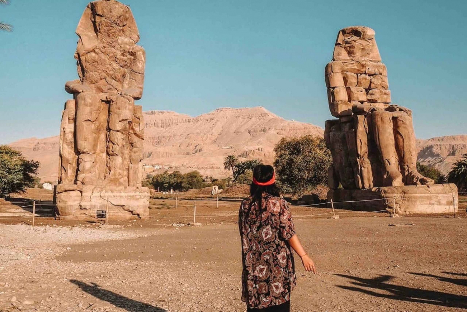 From Cairo: Luxor Guided Day Tour with Flight & Entry Ticket