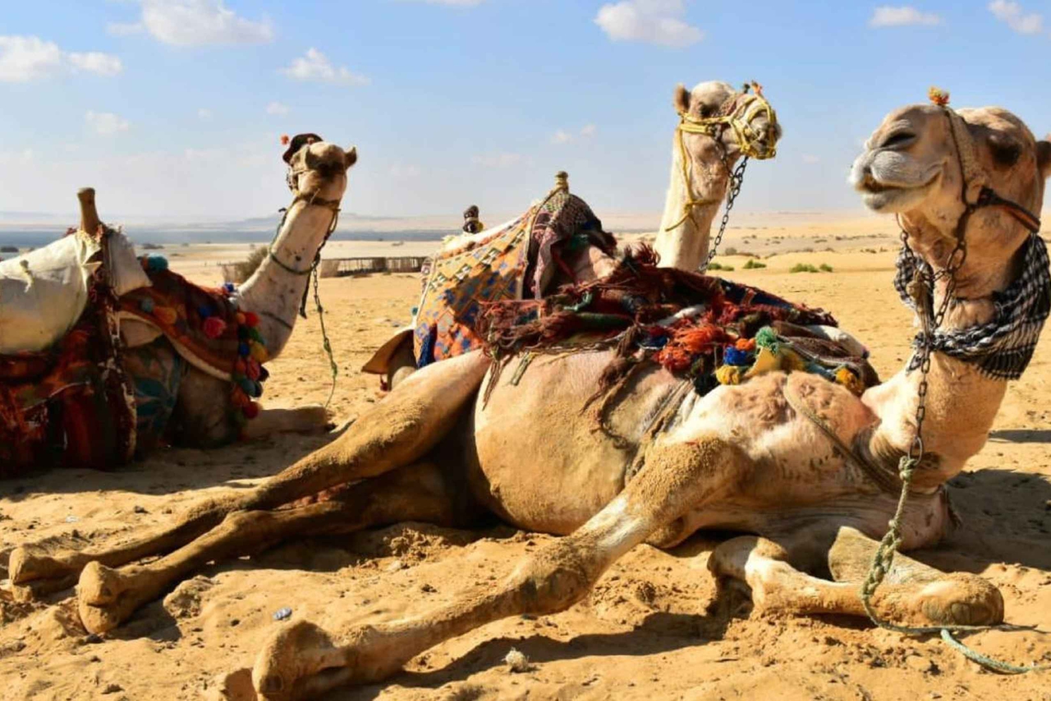 Von Kairo aus: Camping-Abenteuer mit Übernachtung in der Oase El-Fayoum