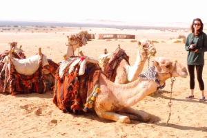 Von Kairo aus: Camping-Abenteuer mit Übernachtung in der Oase El-Fayoum