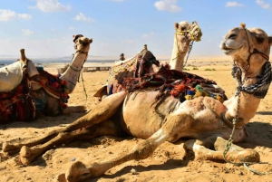 Von Kairo aus: Camping-Abenteuer mit Übernachtung in der Oase El-Fayoum