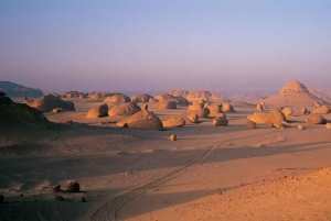 Von Kairo aus: Camping-Abenteuer mit Übernachtung in der Oase El-Fayoum