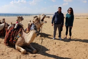 From Cairo : Overnight Camping Adventure in El-Fayoum Oasis