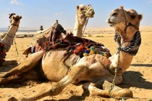 Från Kairo: Campingäventyr med övernattning i El-Fayoum Oasis