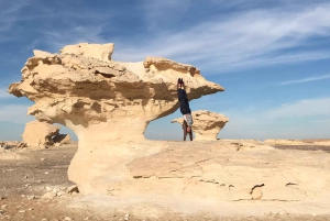 Fra Kairo: Privat 5 dager og 4 netter til Gara Cave Desert Tour