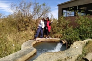 Fra Kairo: Privat 5 dager og 4 netter til Gara Cave Desert Tour