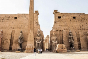 Z Kairu: Prywatna wycieczka all inclusive samolotem do Luksoru