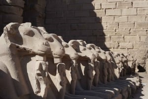 Desde El Cairo: Tour Privado de Luxor con Todo Incluido en Avión